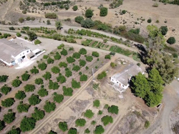 Málaga Costa del Sol