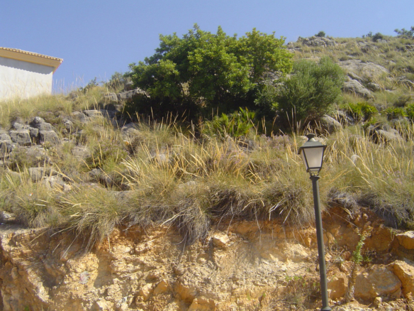 Málaga Costa del Sol